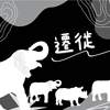 迁徙
