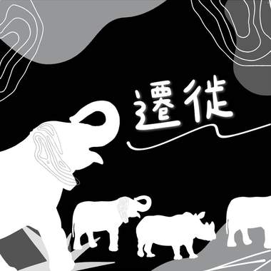 迁徙