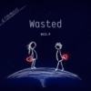 Wasted