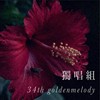 34独唱组_政治大学_历史一_许晏诚