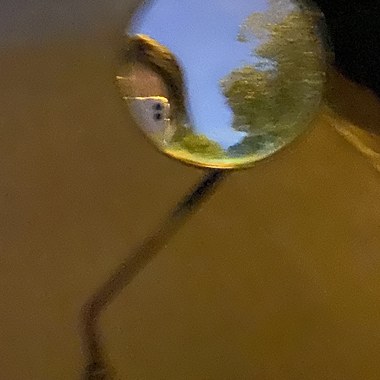 夏日的一次尝试 demo
