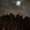 [original song] 夜晚来临时The Night is Coming ( 中元节特别版）