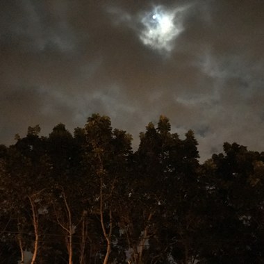[original song] 夜晚来临时The Night is Coming ( 中元节特别版）