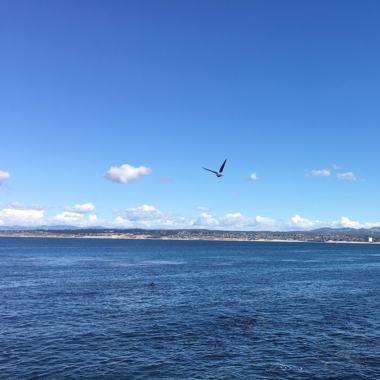 Breaking Free