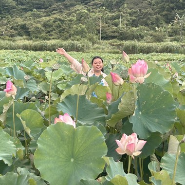 爱在夏天.Cover