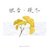 银杏·暖冬 (DEMO)
