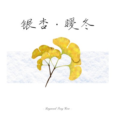 银杏·暖冬 (DEMO)