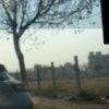 骑鼠南下