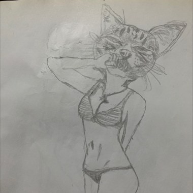 跳舞吧 笨蛋小猫