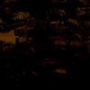 帮忙写作业