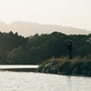 没有颜色的岛