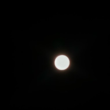 白与墨