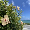 夏天(DEMO)_修正版_20230812
