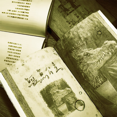 鳄鱼公主