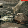 Refresh | Live Session
