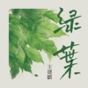 绿叶
