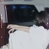 淡了