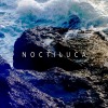 Noctiluca 夜光虫