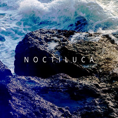 Noctiluca 夜光虫
