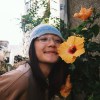 黄花demo