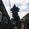 睡