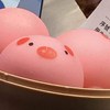 园高校歌（改编）