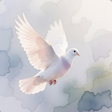 祈和平（For Peace)