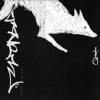 冬季流浪狗