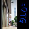 新驳二岁月