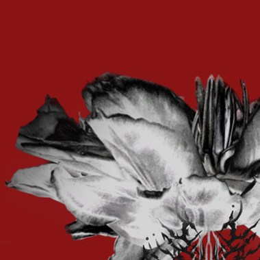 送你到天涯海角