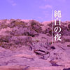 纯白之夜