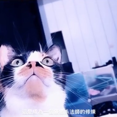 deca joins / 夜间独白（#淞雅ㄉ编曲练习）