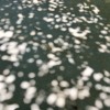 还是想要带你去看这个世界
