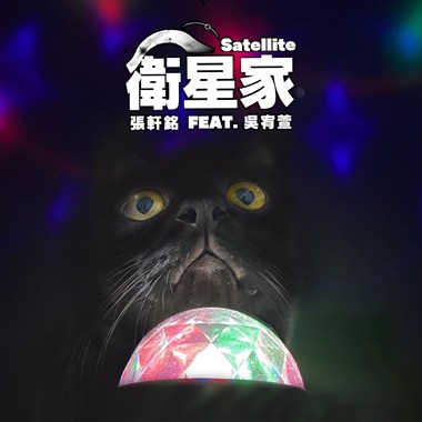 卫星家 Satellite
