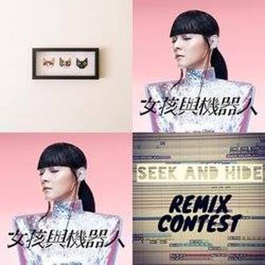 Seek and Hide Remix_SandozFan_DnB