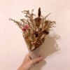 漂鸟 (致敬 泰戈尔)