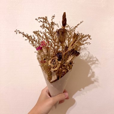 漂鸟 (致敬 泰戈尔)
