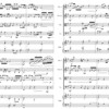 16小节四重奏曲