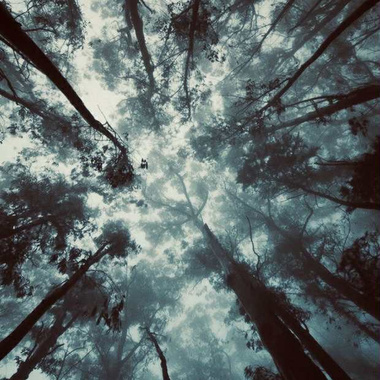 林神的启示 (demo)