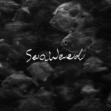 暗潮 Undercurrent(demo)