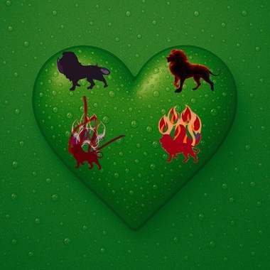 小狮-闵鸿｛有你的地方 ｝