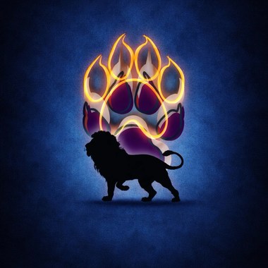 小狮-闵鸿、$un077（伤痕是徽章）