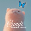 08. Cundi Dharani｜准提妈妈