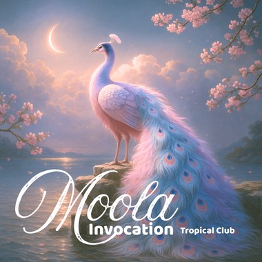 05. Moola Invocation (Techno Remix)