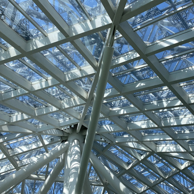Umbrella