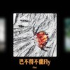 巴不得不能Fly