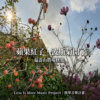 《🍎 苹果红了，波斯菊开了🌼》福寿山农场秋游