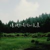 爆破散去后的光景