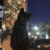 逆 ~not real demo