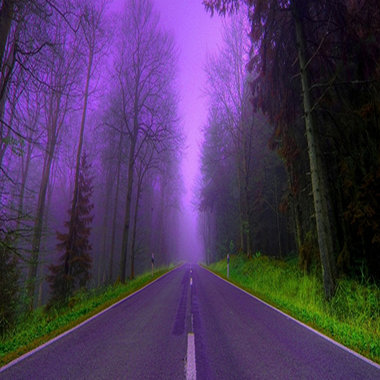 Lucid Dream 清醒梦